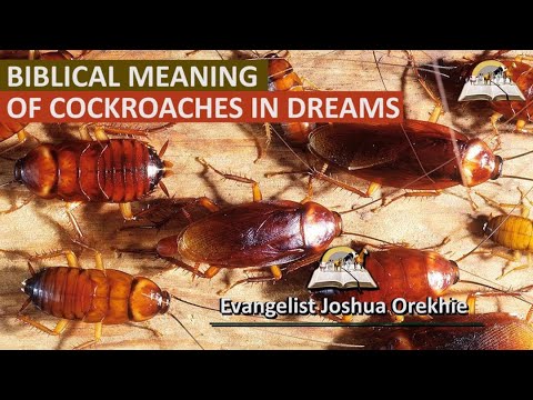 Biblical Meaning of COCKROACHES in Dreams - Find Out The True Spiritual Meaning of Roaches