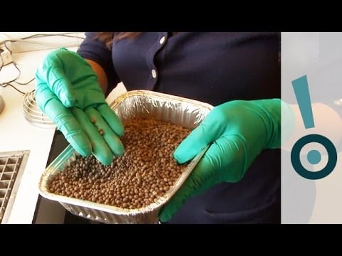 A Recipe For Self-healing Concrete! - Science Snapshot
