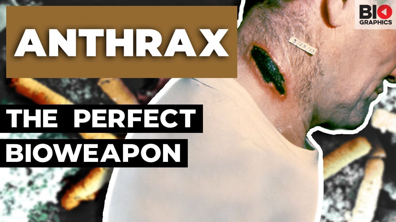 Anthrax: Nature’s Perfect Bioweapon