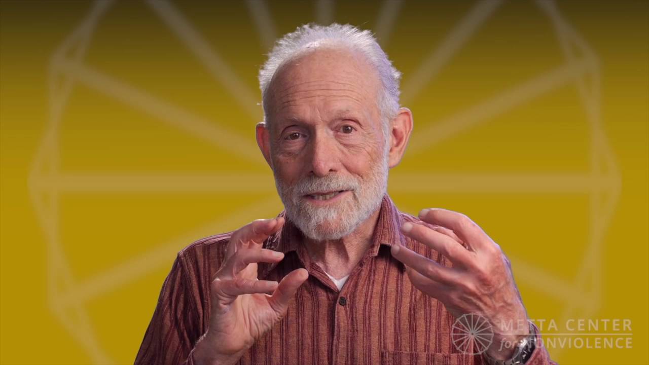 The MEANING of nonviolence: Daily Metta