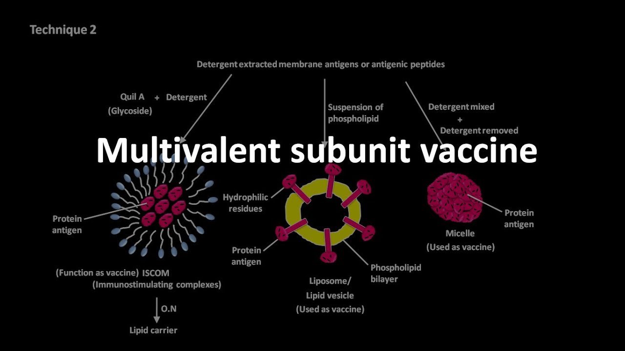 Subunit vaccine