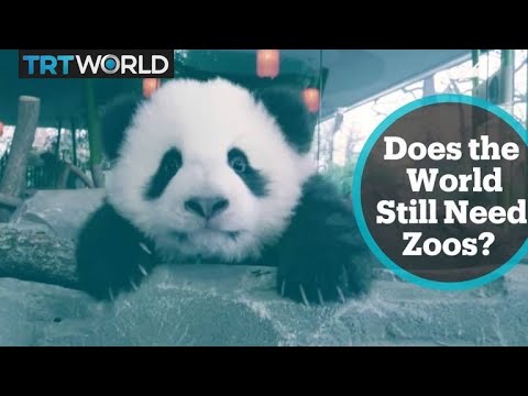 Future of zoos