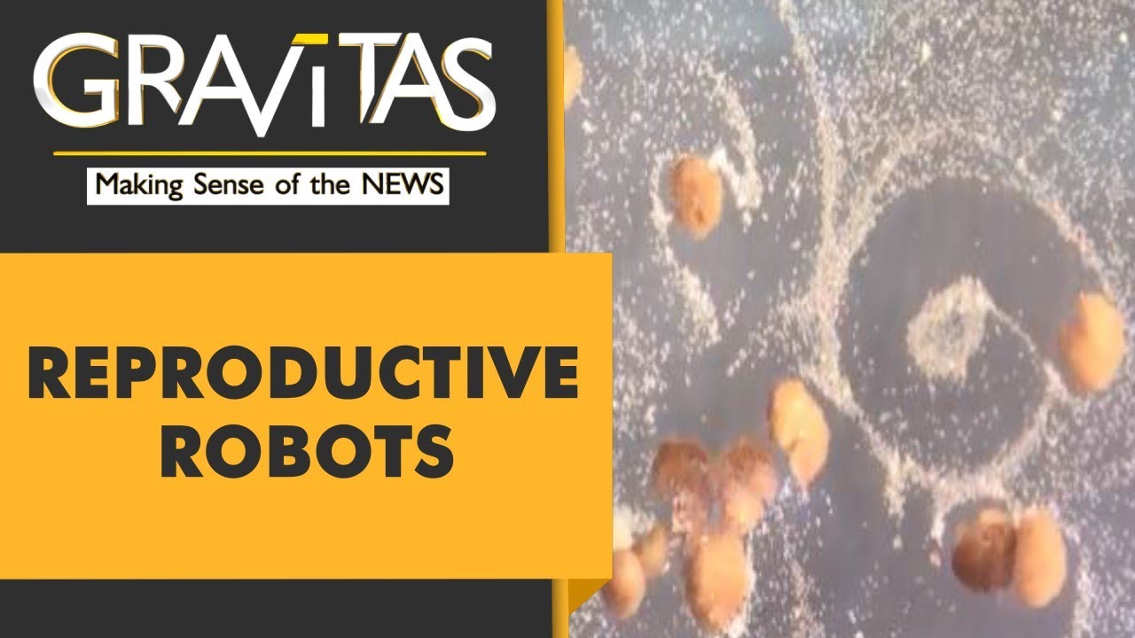 Gravitas: These robots can produce babies | 