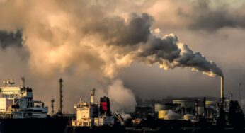 One Million Species Extinct by 2050?