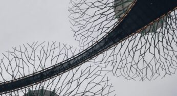 Biomimicry: Nature’s Solutions Inspiring Sustainable Design