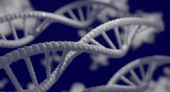 Genetic Engineering in a New Light
