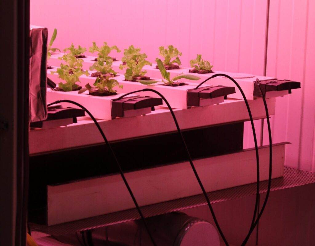 Vertical Farming: A Sustainable Agriculture Method