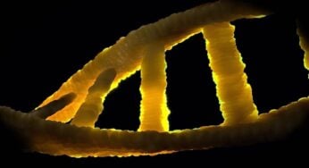 Learn About the Ethics of Genetic Engineering & Eugenics